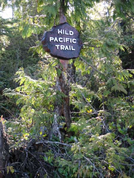 Ucluelet is home of the Wild Pacific Trail-600.jpg